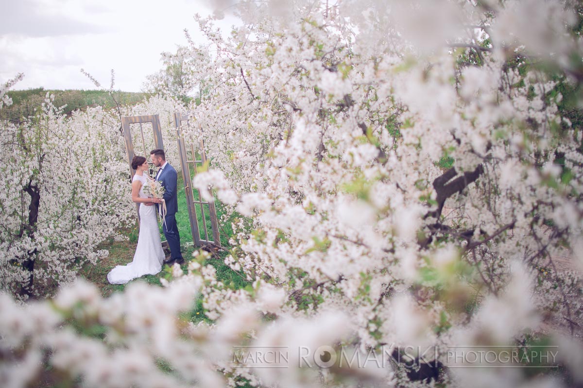 Wiosenna sesja ślubna w wiśniowym sadzie.